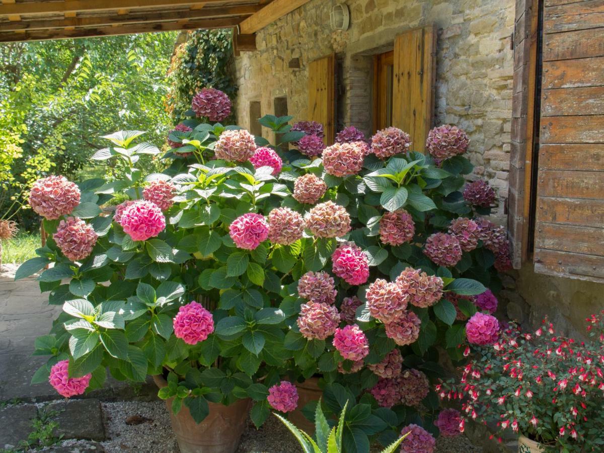 Casa La Valle, Gubbio, Frazione Santa Cristina Bed & Breakfast エクステリア 写真